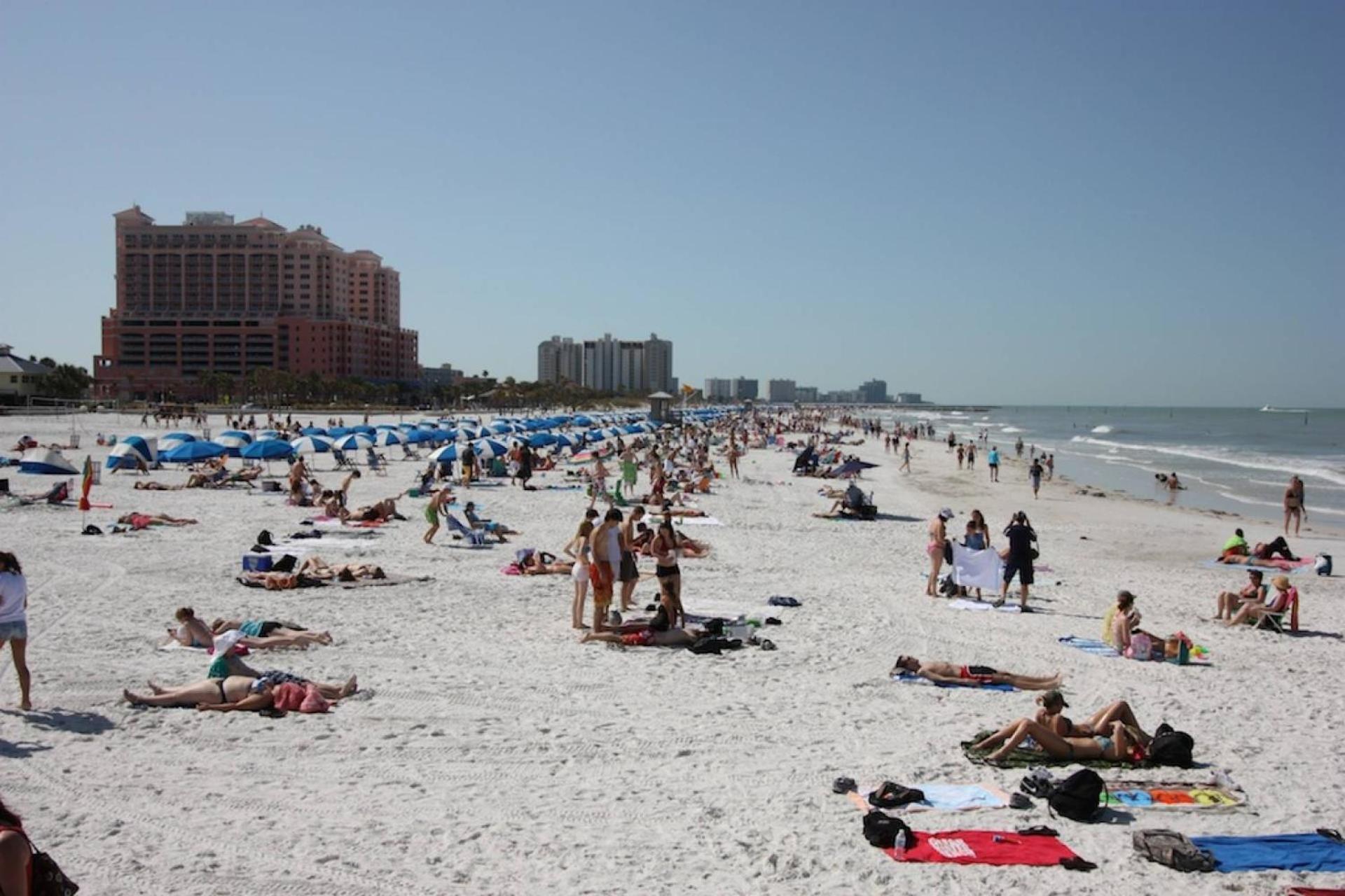 201 Belleair Beach Club Clearwater Beach Esterno foto